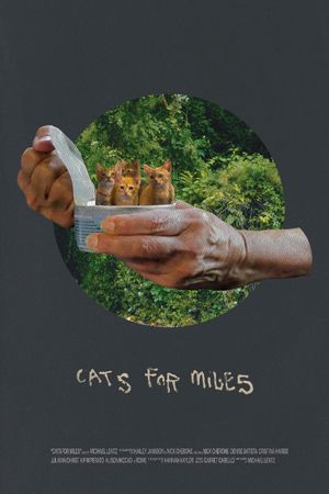 Cats for Miles's poster