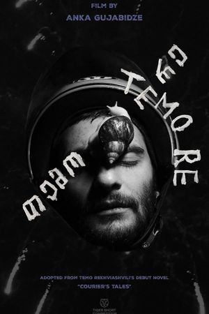 Temo Re's poster image