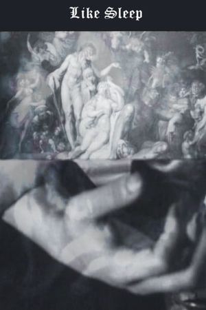 Like Sleep's poster