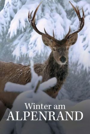 White Winter's poster