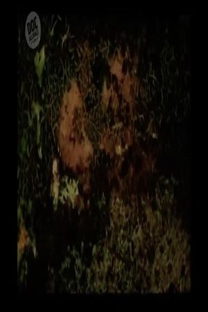 The Lovers's poster