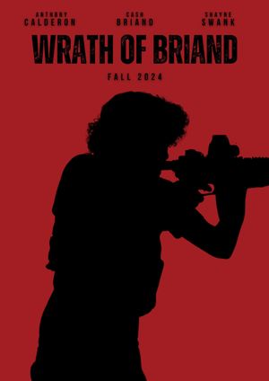 Wrath of Briand's poster