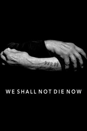 We Shall Not Die Now's poster