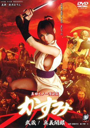 Lady Ninja Kasumi, Volume 3: Secret Skills's poster
