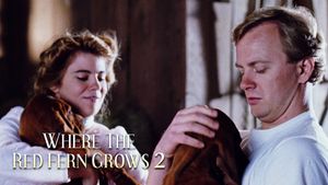 Where The Red Fern Grows Part 2's poster