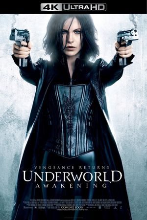 Underworld: Awakening's poster