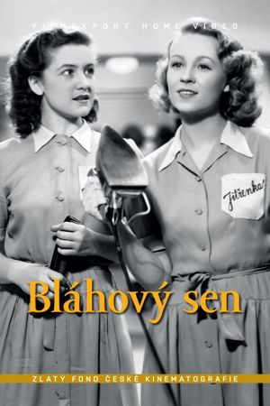 Bláhový sen's poster