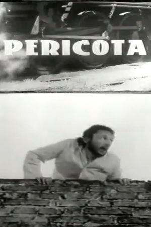 Pericota's poster