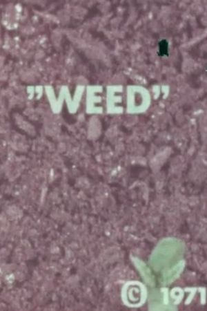 WEED's poster