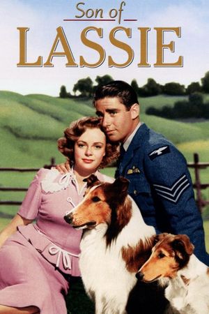 Son of Lassie's poster