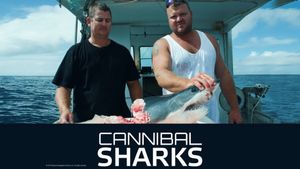 Cannibal Sharks's poster