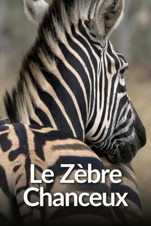 Le Zèbre chanceux's poster