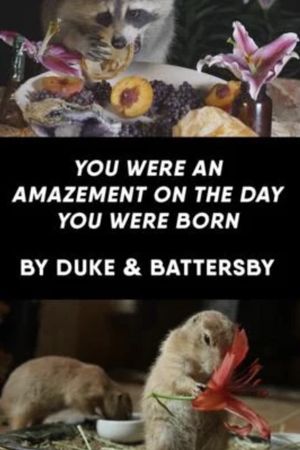 You Were an Amazement on the Day You Were Born's poster