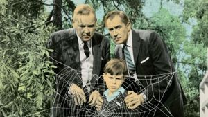 The Fly's poster