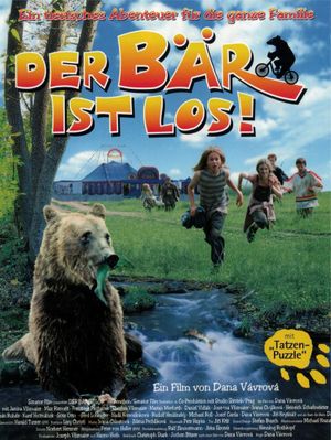 Bear on the Run's poster