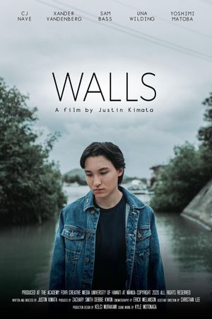 Walls's poster