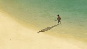 The Red Turtle's poster