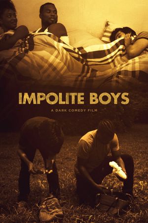 Impolite Boys's poster image