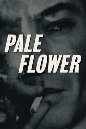 Pale Flower's poster