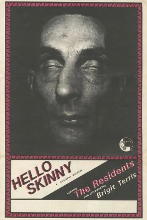 Hello Skinny's poster