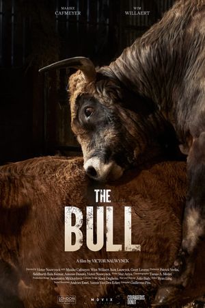 The Bull's poster