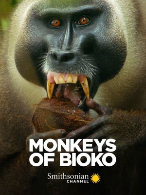 Monkeys of Bioko's poster image