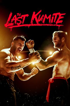 The Last Kumite's poster
