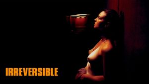 Irreversible's poster