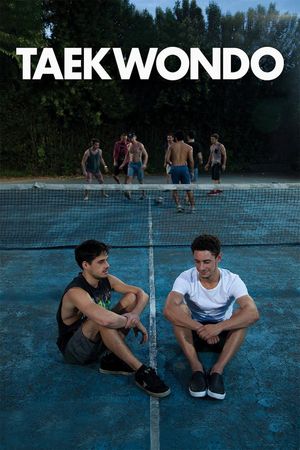 Taekwondo's poster