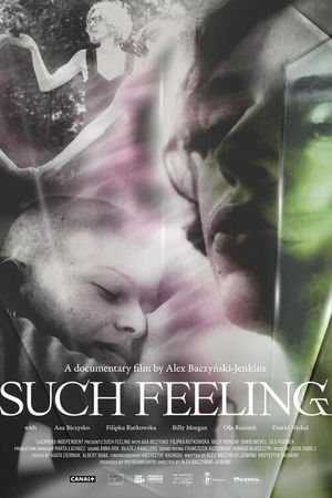 Such Feeling's poster image