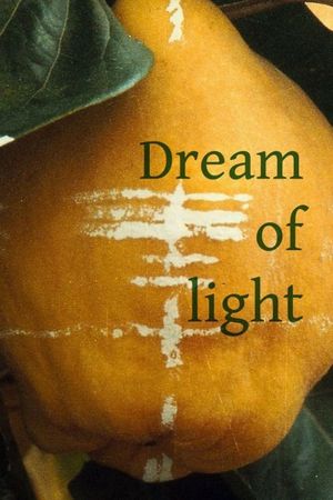 Dream of Light's poster