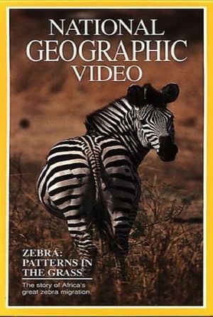 Zebras: Patterns in the Grass's poster