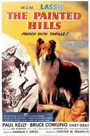 The Painted Hills's poster