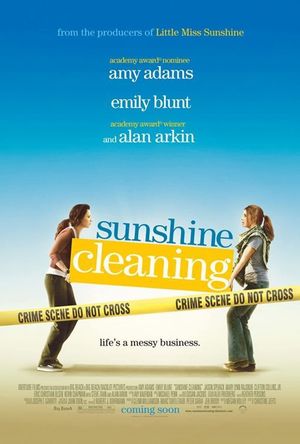 Sunshine Cleaning's poster