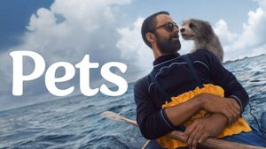 Pets's poster