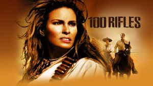100 Rifles's poster