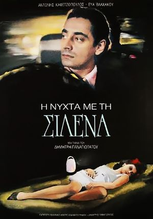 The Night with Silena's poster