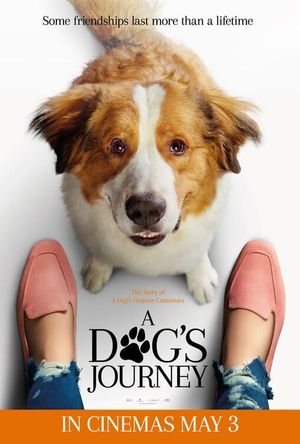 A Dog's Journey's poster