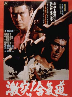 The Defensive Power of Aikido's poster