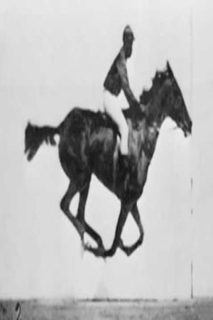 Man Riding Jumping Horse's poster