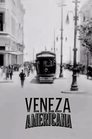 The American Venice's poster