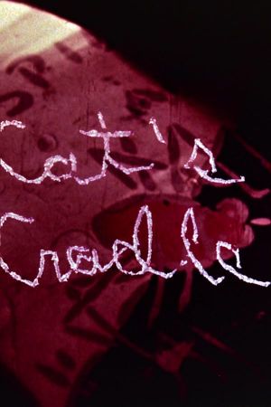Cat's Cradle's poster
