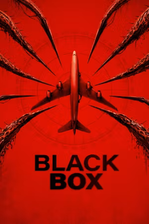 Black Box's poster