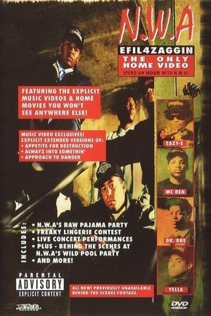 N.W.A. - EfiL4zaggiN's poster