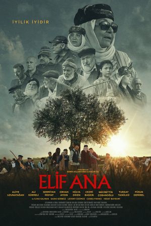 Elif Ana's poster