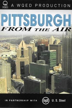 Pittsburgh From the Air's poster