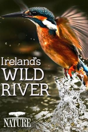 On a River in Ireland's poster
