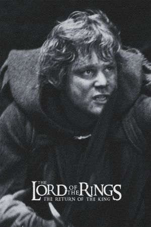 The Lord of the Rings: The Return of the King's poster