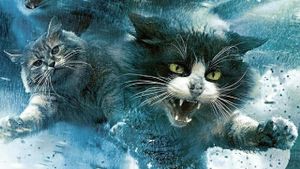 Catnado's poster
