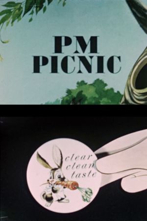 PM Picnic's poster